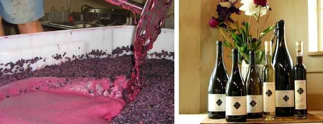 Buy Wine Online
